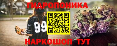 дживик Ставрополь