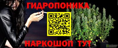 дживик Ставрополь